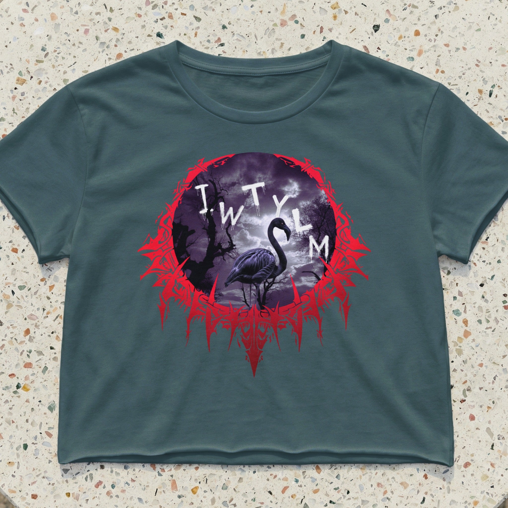 Dark teal cropped t-shirt with a circular graphic featuring the text "IW TYLM" and a silhouette.