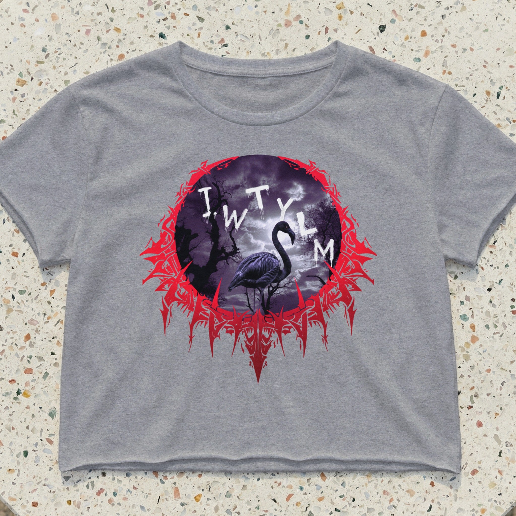 Grey cropped t-shirt with a dark circular graphic featuring a black bird and "I W T Y L M" text.